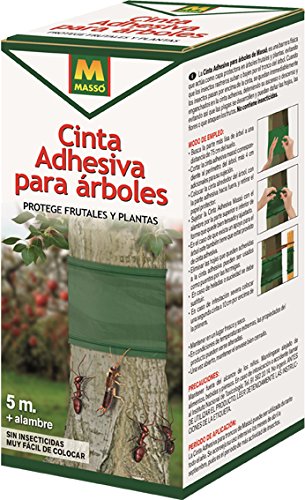 MASSO 231401 Cinta Adhesiva Anti Insectos para árboles, Verde