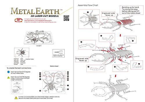 Metal Earth- Maqueta metálica Escarabajo Ciervo (Fascinations MMS071) , color/modelo surtido