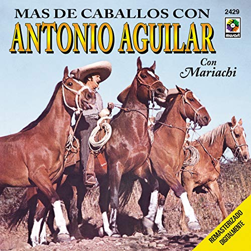 Mi Caballo Plateado