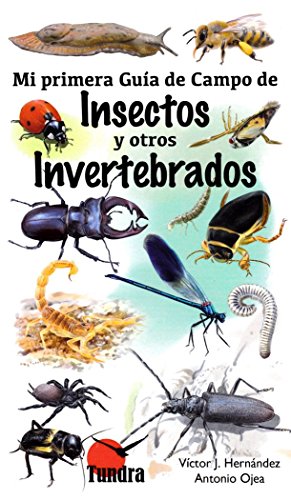 Mi primera guía de campo de insectos y otros invertebrados