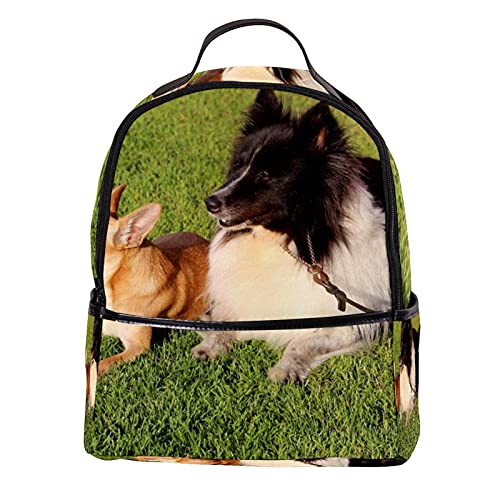 Mini mochila monedero para mujer, bolsa de viaje de cuero chihuahua perro shetland sheepdog sheltie para trabajo, escuela, al aire libre