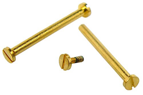 Minott 32761 - Tornillos de Repuesto (2 Unidades, 1 mm de diámetro, Acero Inoxidable, para Bandas centrales), Color Dorado