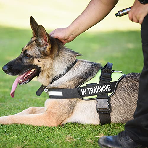 Molain Parche bordado para chaleco de perro con gancho y bucle, 6 parches tácticos extraíbles de velcro negro para arnés de perro de servicio insignia en el entrenamiento