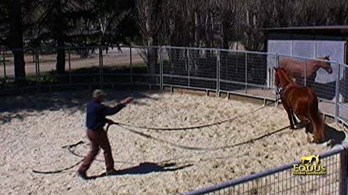 Monty Roberts - Juego de Dos líneas de 30 pies de Largo