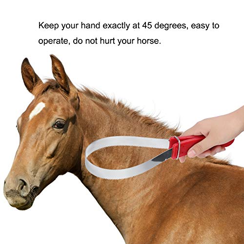 Mxzzand Raspador de caballo, agarre cómodo, rascador equino para el sudor, rascador de caballo, resistente al óxido para derramar caballos para ponis