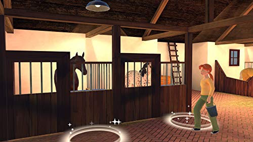 My Riding Stables 2. A New Adventure