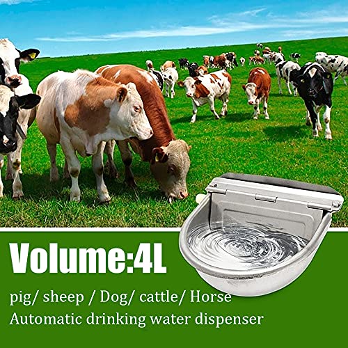 N++A Bebedero automático de acero inoxidable con válvula flotante, cerdo, caballo, vaca, cabra, oveja, perro, dispensador de agua, accesorio para bebidas, con orificio de drenaje.