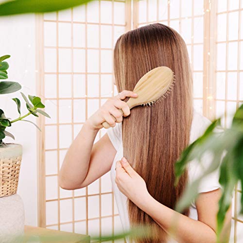 Navaris Cepillo de bambú para el pelo - Peine de madera con cerdas naturales para masaje capilar - Cepillo antiestático ovalado - Peine ecológico