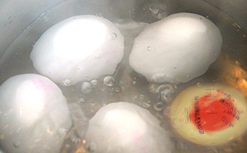 NERTHUS FIH 233 - Temporizador para huevos, avisa del estado optimo del huevo