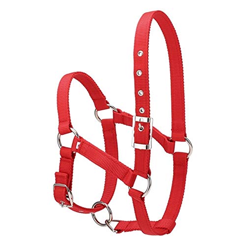 NUJA Collar 1pc 6mm Hípica Ecuestre Espesado Ajustable Cabeza de Caballo Cabestro ronzal Seguridad Brida Horse Riding Equipment (Color : Red M)