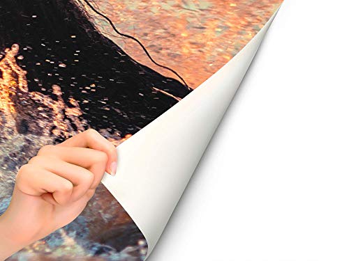 Oedim Fotomural Vinilo para Pared Caballo en el Agua | Mural | Fotomural Vinilo Decorativo | 200 x 150 cm | Decoración comedores, Salones, Habitaciones