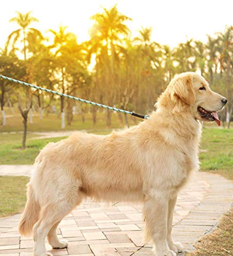 Olodeer Correa de nailon para perro con asa acolchada, correa de perro de 1,5 m de longitud para caminar y entrenar diariamente, apto para perros pequeños, medianos y grandes