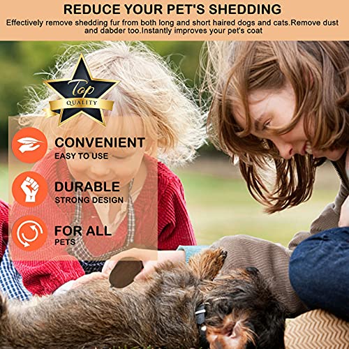 onebarleycorn - Cepillo para Perros y Caballos,Cepillo Profesional de Madera para Mascotas (5 Inch)