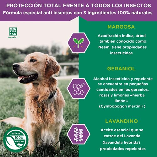 Pack de 4 Productos antiparasitarios para Perros | Contiene Cuatro Productos repelentes: Collar, Champú, Spray y Dos Unidades de pipetas Anti Insectos. | Combate Cualquier Insecto