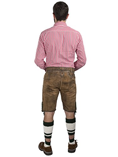 Pantalones de Cuero para Hombres Maximilian de la Serie Obra Maestra de Schöneberger Trachten - Pantalones de Cuero de Trachten Incl. Cinturón de Trachten (46, Marrón)