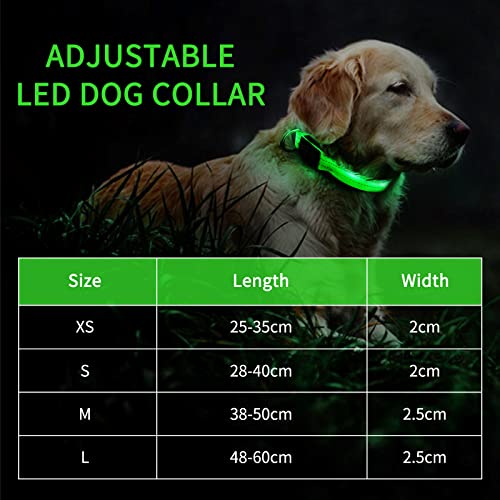 PcEoTllar Collar Luminoso Perro Recargable Collar LED para Perro Impermeable 3 Modos de Iluminación Alta Visibilidad y Seguridad Ajustable para Perros Pequeños Medianos Grandes - Verde L