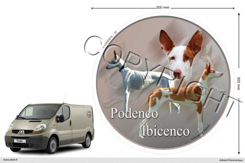 Pegatina de perro circular 30 cm Podenco-Ibicenco