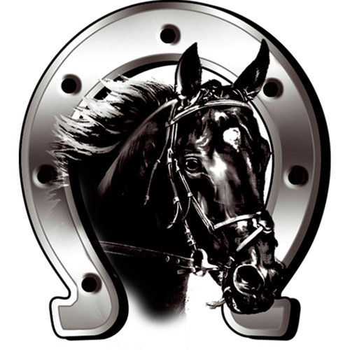 Pegatina Horse + Horseshoe - 6x7cm