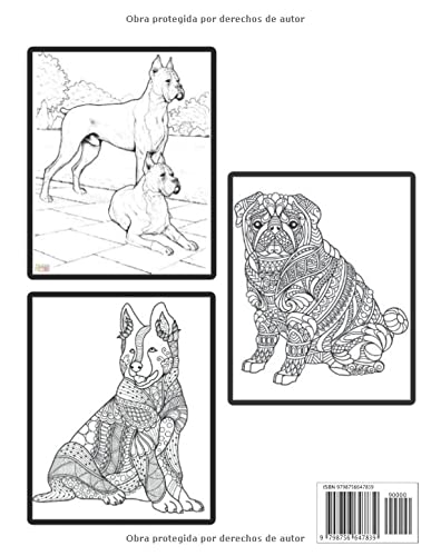 Perro Colorear Libro: Libro de Colorear para Adultos Alivio del Estrés 50 Diseños de Perros de una cara Increíbles Diseños de Alivio del Estrés y Relajación para Perros para Colorear 100 Páginas