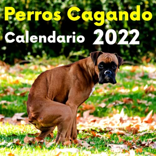 Perros Cagando Calendario 2022: | Regalo de Broma | Divertidos Para Amigos, Mujer, Hombre, Niños, Adolescentes, Adultos, Cumpleaños, Navidad | ... y Relajante para Amantes de los Animales |