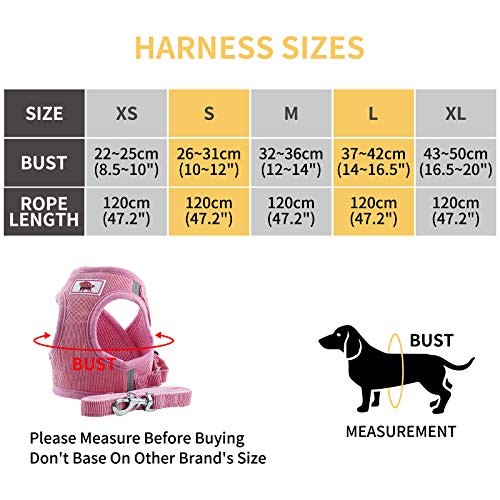 PET SPPTIES Tela de Malla Chaleco para Perros Arnés Suave Ajustable cómodo para Cachorros, Perros Pequeños y Gatos PS042 (XS, Pink)