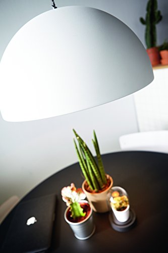 Philips InStyle Breton - Lámpara de techo colgante, color blanco