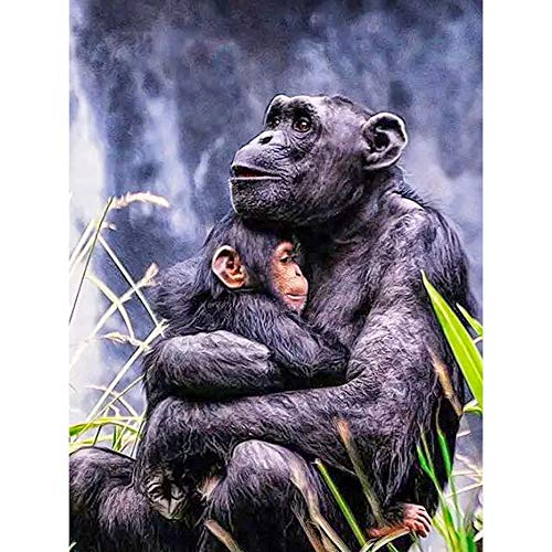 Pintura de Diamante DIY 5D Talla Grande Kit orangután Taladro completo Diamond Painting Cristal pedrería Bordado de Punto de Cruz Salón pared Home Wall Art Decor F1272 Round drill,50x70cm