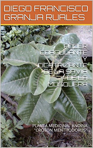 PODER COAGULANTE Y CICATRIZANTE DE LA SAVIA DE LA MOSQUERA: PLANTA MEDICINAL ANDINA "CROTON MENTHODORUS"