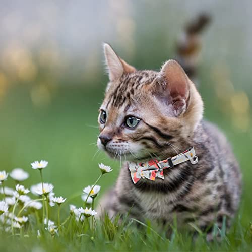 POPETPOP Cuello del Gato de La Corbata de Lazo Collar de Algodón de Algodón de La Impresión Floral Ajustable Agarre de La Gatita del Animal Doméstico para El Gatito de Gato de Perro ()