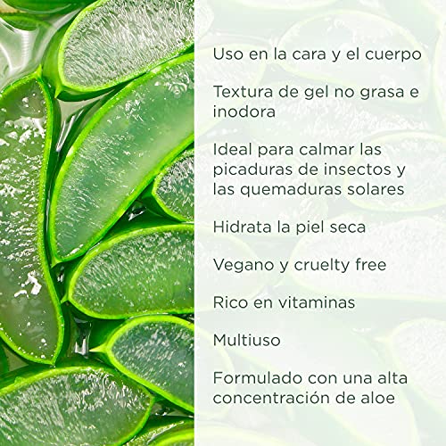 PraNaturals Aloe Vera Pura Gel (paquete de 1)