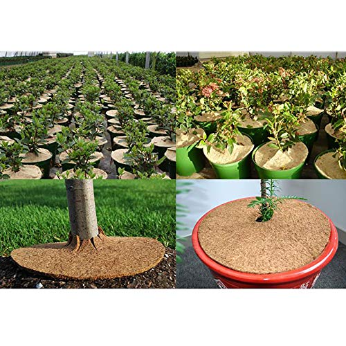 QSDGFH 4 macetas de fibra de coco para plantas, anillo de mantillo, protector de árbol, protector natural para plantas de interior y exterior para cubierta de plantas de disco, maceta de plantas