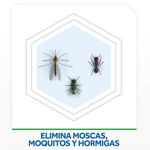 Raid - Night & Day - Anti-mosquitos Eléctrico - Aparato + Recambio - [Pack de 2]