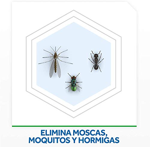 Raid - Night & Day Repelente de Moscas, Mosquitos y Hormigas, Recambio [Pack de 2]