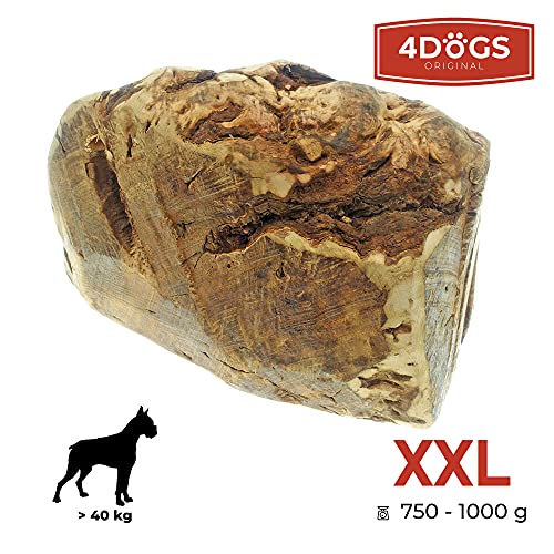 Raíz para Masticar 4Dogs XXL de raíces secadas al Aire de la Cueva del árbol Italiana, Juguete para Masticar para Perros de Madera Natural sin Tratar, 100 % Natural, 0 calorías, 1 Pieza