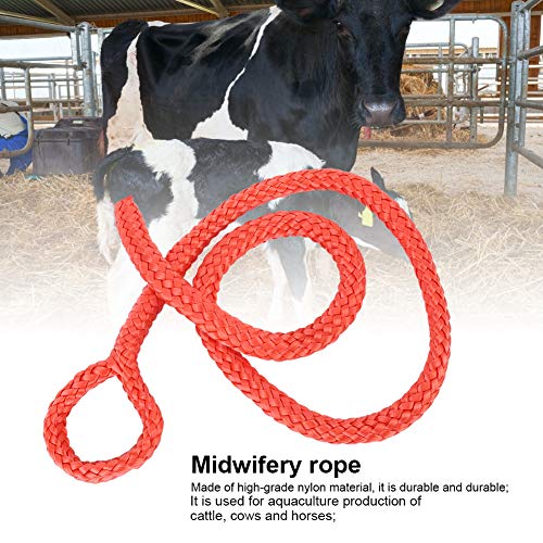 Redxiao Cuerda obstétrica de 97 cm para Ayudar a Las Vacas a Dar a luz. Cuerda de partería, roja con Cuerda de partería de Alta dureza Vaca para Ganado de Granja Caballo