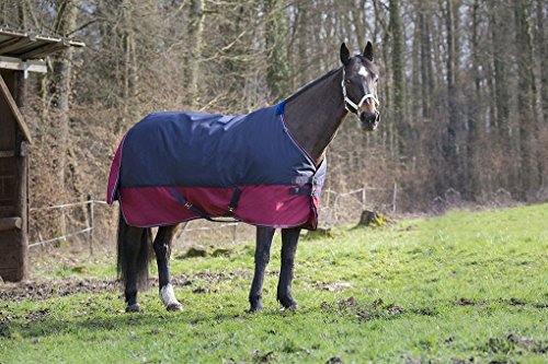 Reitsport Amesbichler - Manta para caballos (Tyrex 1200 Denier, forro interior de nailon, impermeable, transpirable, correas cruzadas, etc. 150 cm)