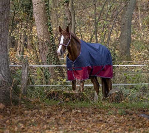 Reitsport Amesbichler - Manta para caballos (Tyrex 1200 Denier, forro interior de nailon, impermeable, transpirable, correas cruzadas, etc. 150 cm)