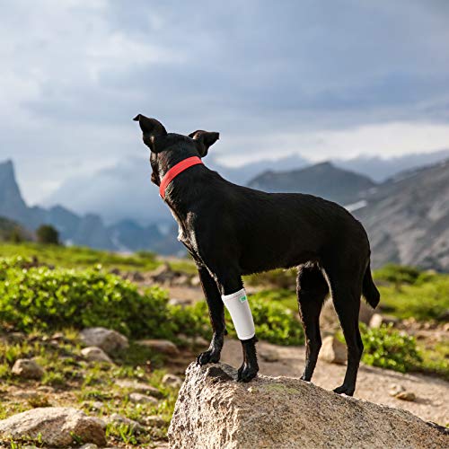 RockPet Órtesis Curadora Articulación Pata Delantera de Perro Envoltura Canina de Corvejón (L/XL, Gris)