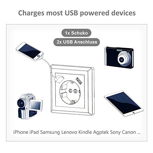Schuko Enchufe de pared con USB 2.8A Gris, Kaifire Toma de corriente con 2 x USB System 55 Instalación empotrado - Cargador para Smartphone Tablet MP3