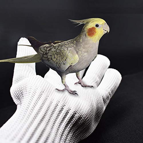 SH-RuiDu Guantes antimordedura para entrenamiento de pájaros, guantes de manejo de animales pequeños, guantes de alambre de acero de protección