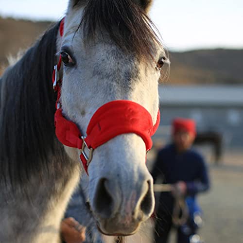 Sharplace 2X Pony COB Acolchado Caballo Cabestro Brida Rienda Ecuestre Correa de Cuello Ajustable
