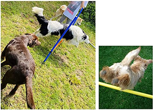 Shengruili Perro Set de Agilidad,Entrenamiento de Agilidad para Perros,Obstáculos de Entrenamiento para,Agilidad para Perros,Perro Equipo de Entrenamiento