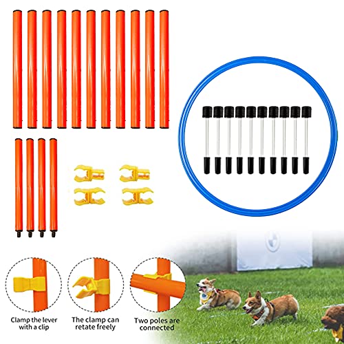 Shengruili Perro Set de Agilidad,Entrenamiento de Agilidad para Perros,Obstáculos de Entrenamiento para,Agilidad para Perros,Perro Equipo de Entrenamiento