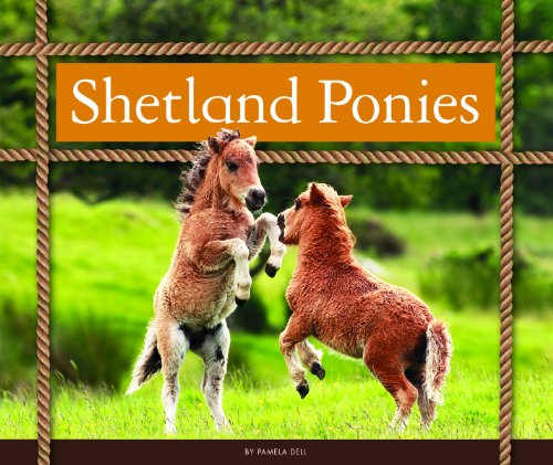 Shetland Ponies (Majestic Horses) (English Edition)