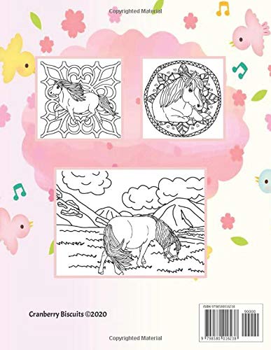 Shetland Pony Lovers Colouring Book: Gifts for pony mad girls (Horses & Ponies Colouring Books)