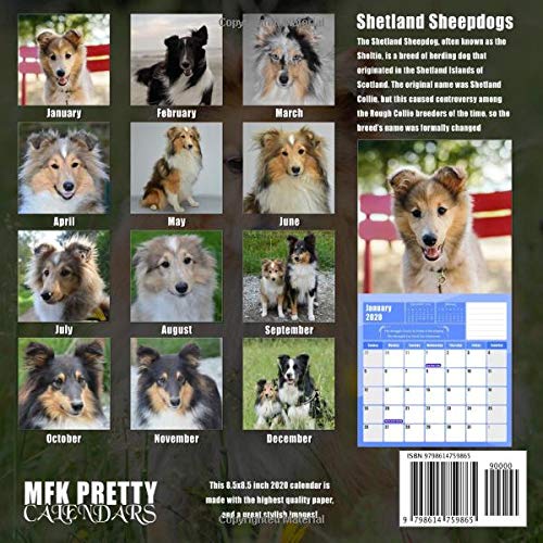 Shetland Sheepdogs Small Calendar 2020: Cute Shetland Sheepdog Photos Mini Monthly Calendar With Inspiritional Quotes each Month | Small Size 8.5x8.5 inches