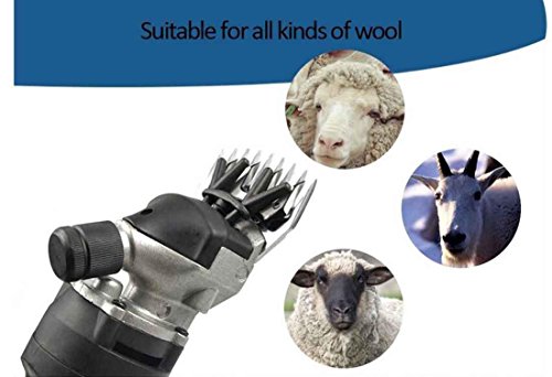 Sinbide - Esquiladora de ovejas con 6 velocidades ajustables, 690 W, eléctrica, profesional, tijeras para ovejas cabras Llamas Alpacas