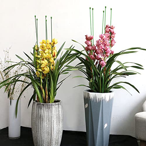 SMLJFO 20 estacas de jardín de fibra de vidrio, 17.7 en palos de soporte de plantas, estacas de soporte floral para Garde