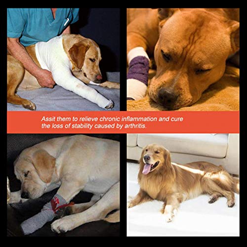 Soporte para pierna de perro, 1 par de soportes para pierna trasera de perro, vendas para articulaciones de corvejón y rótula para mascotas, vendaje para lesiones quirúrgicas, protector(negro S)