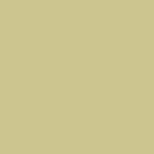SparVar 6091006 Pintura en spray RAL 1000 (400 ml, brillante) color beige verdoso